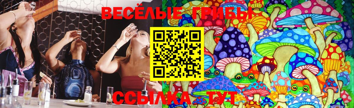 Псилоцибиновые грибы мухоморы  Вход с VPN  купить наркотики сайты  Ессентуки 