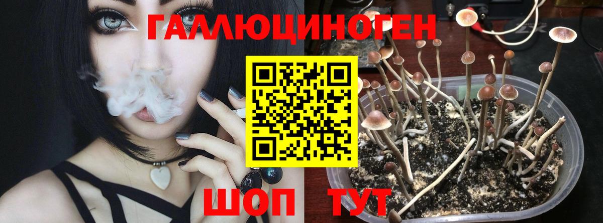 Псилоцибиновые грибы прущие грибы Ессентуки