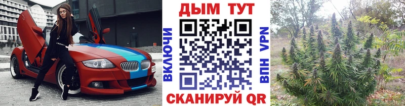 Бошки Шишки THC 21%  Ессентуки 